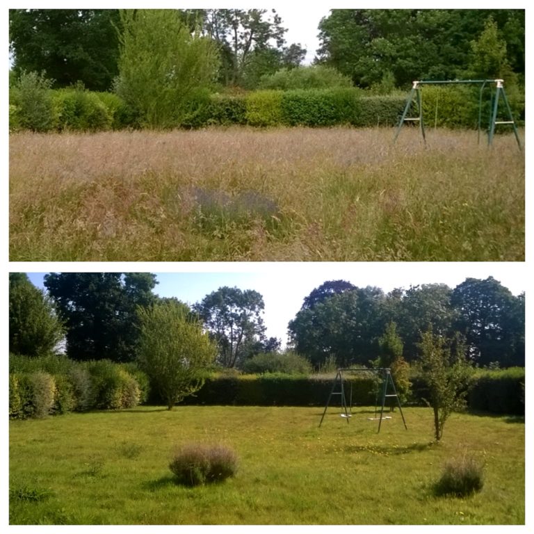 Un jardin avant et après les conseils de BULLES & COCON